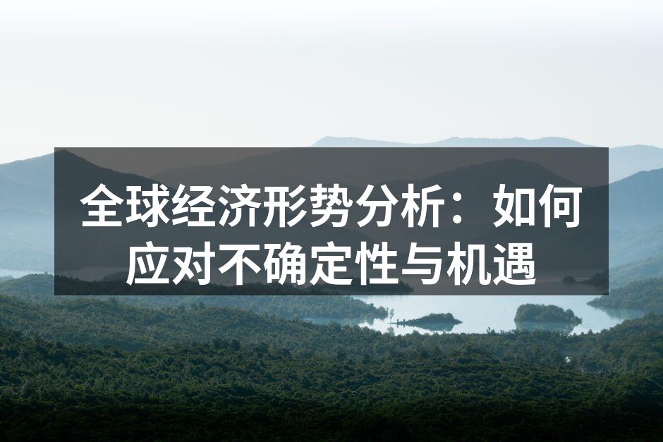 全球经济形势分析：如何应对不确定性与机遇
